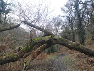 Quantock Hills AONB