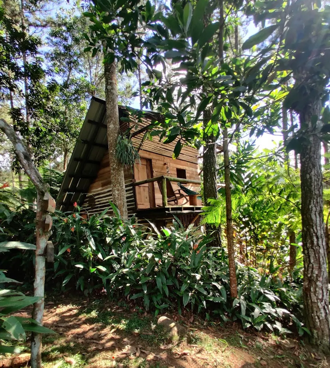 Eco-Aldea