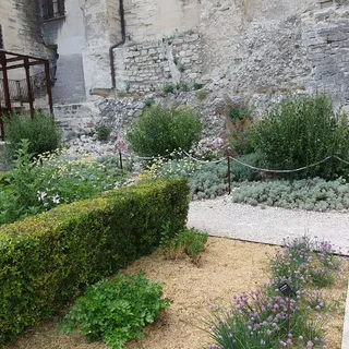 Gardens at the Popes’ Palace