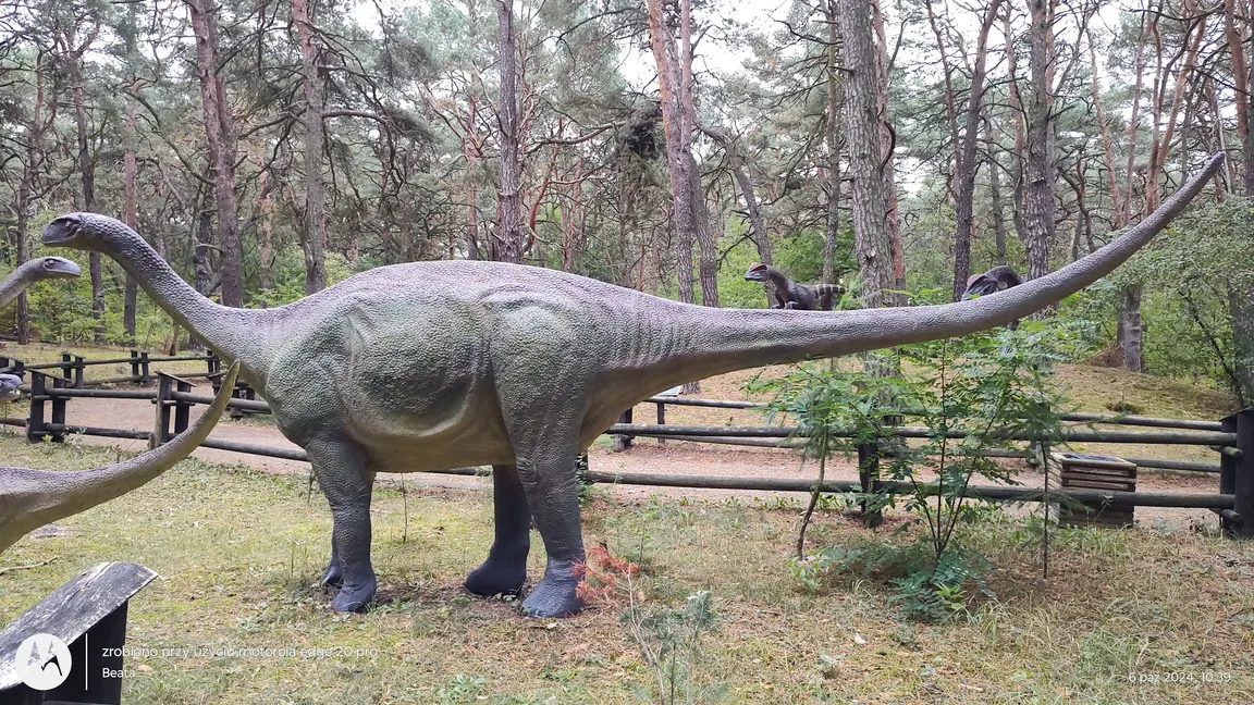 JuraPark Solec Kujawski