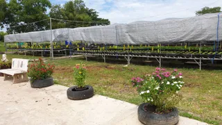Baan Suan Por Dee Organic Farm