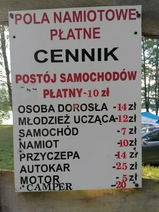 Pole namiotowe. Dzierżawione. Płatne