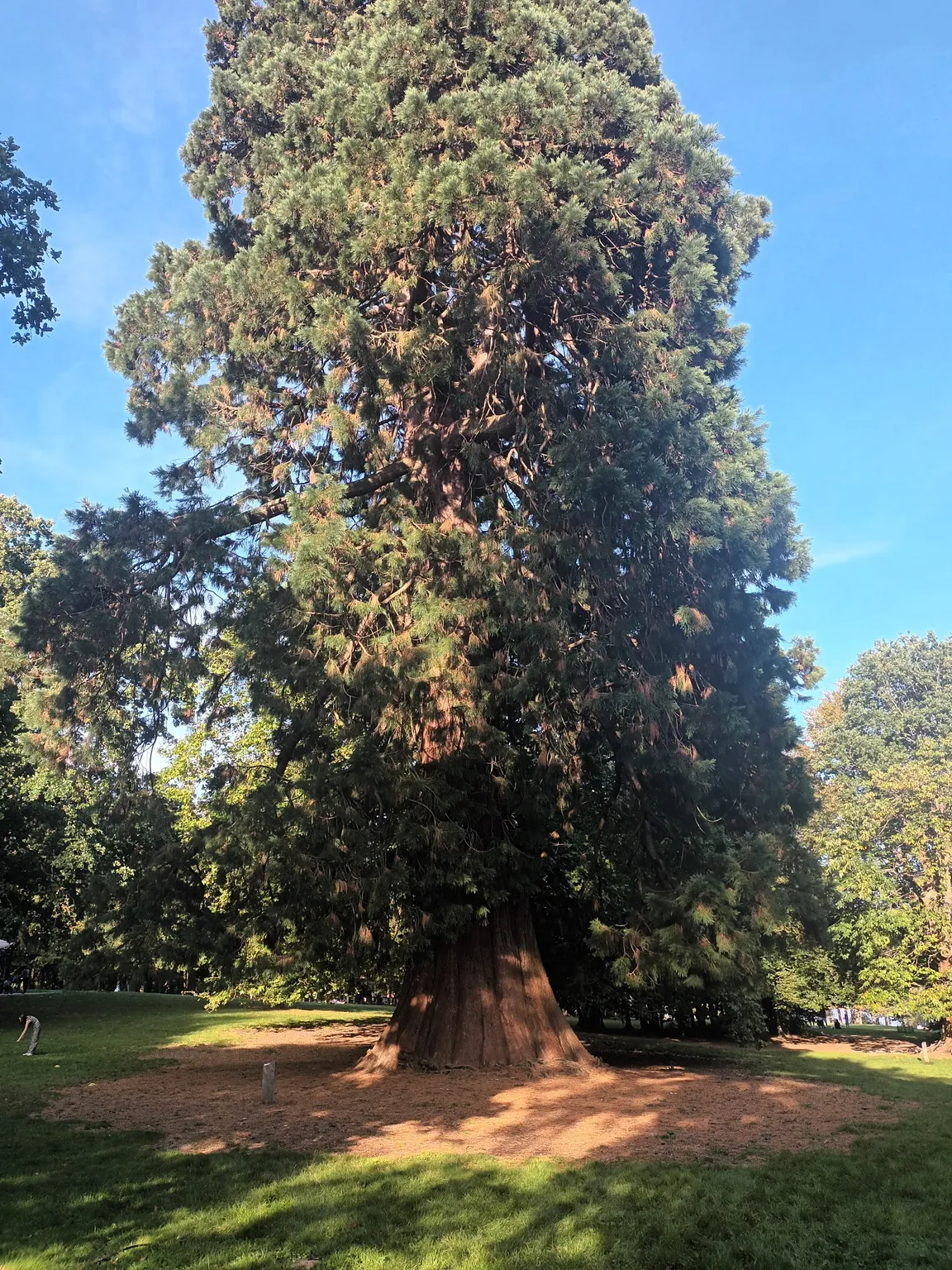 Tilgate Park