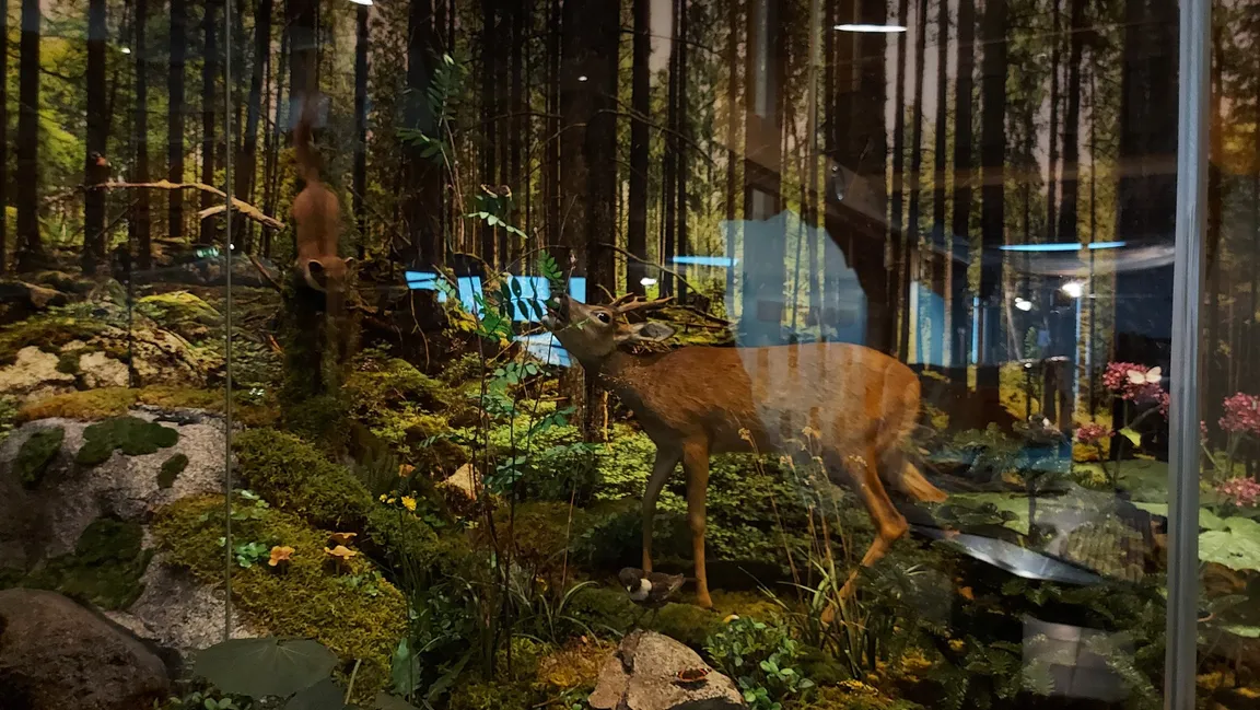 House of Nature Feldberg