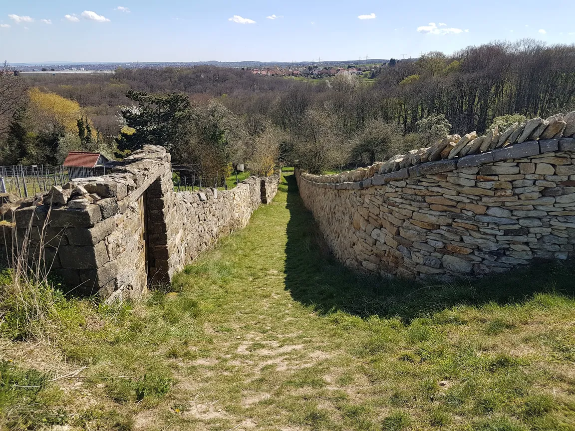 Zschonergrundweg