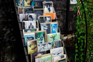 Jungle - Oxford