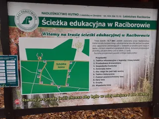 Leśna ścieżka edukacyjna