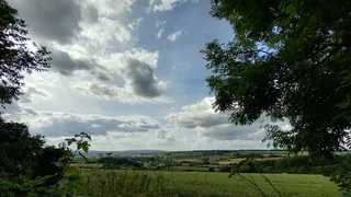 Butlers Hill Fishery