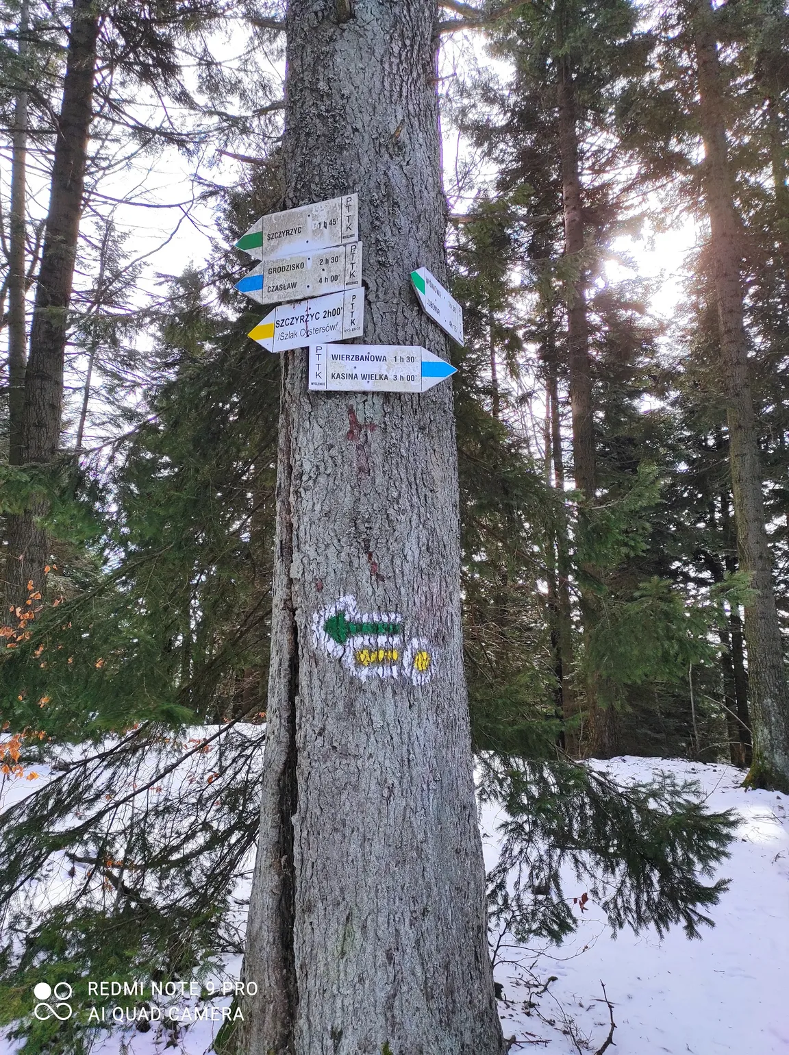 Ciecień 829 m n.p.m.