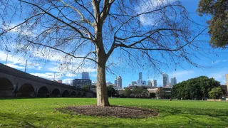 Wentworth Park