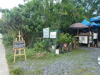 C6 Campsite