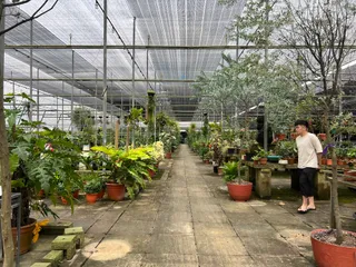 The Local Farm