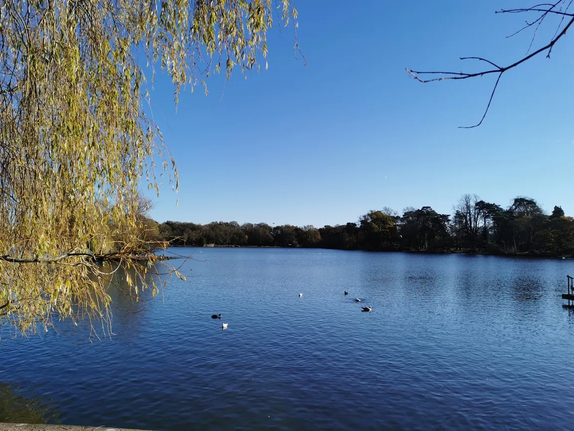 Petersfield Heath & Pond/Lake