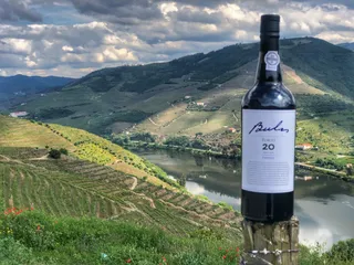 Bulas Wines