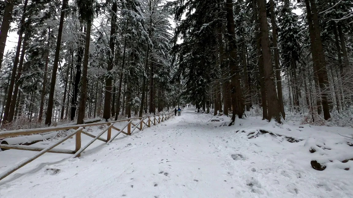 Szlak do Wodospadu Kamieńczyka