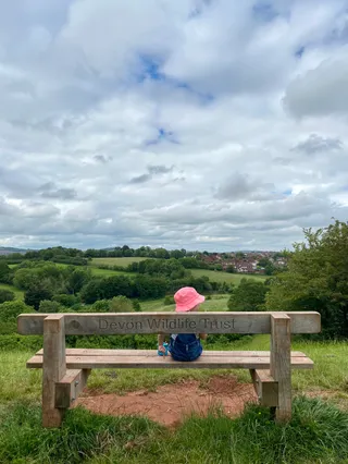 Ludwell Valley Park