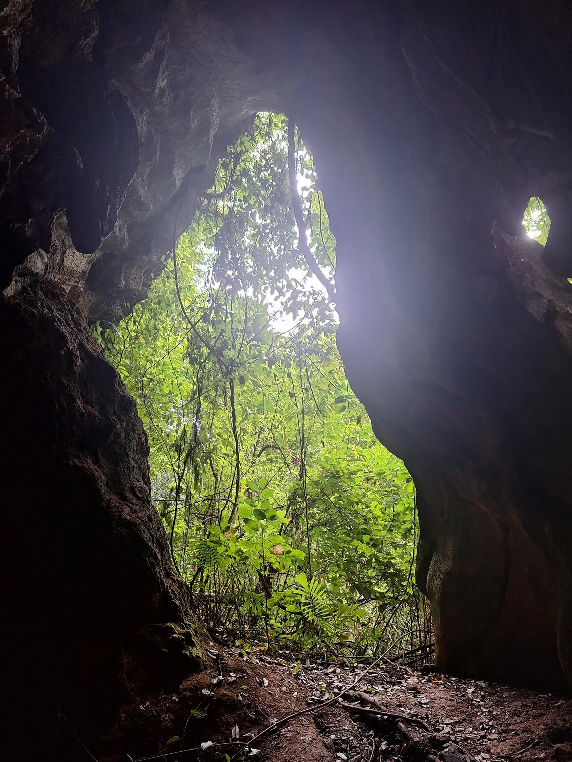 Khlong Chak Bat Cave