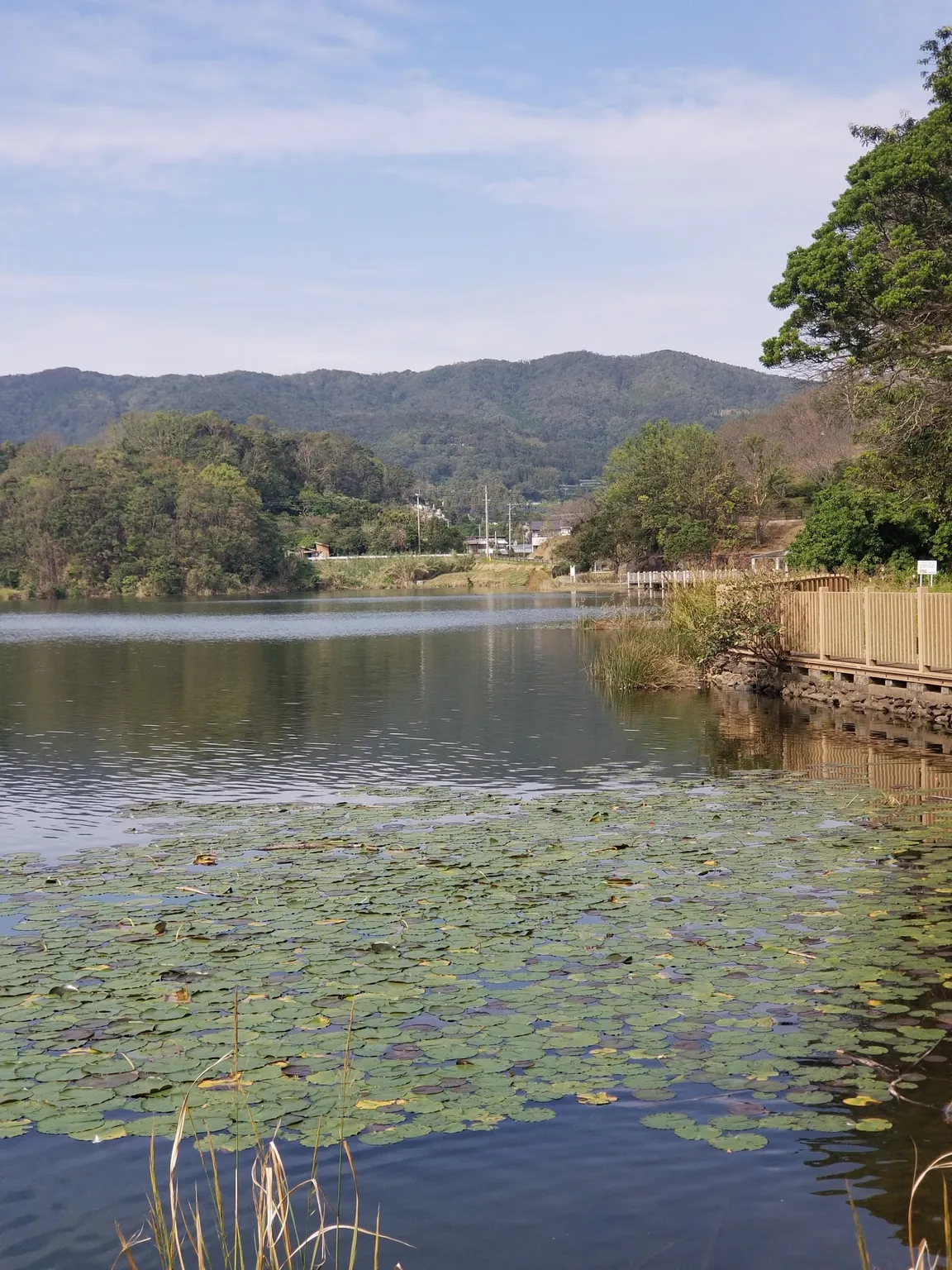 Kawaharaoike Park Camping Ground