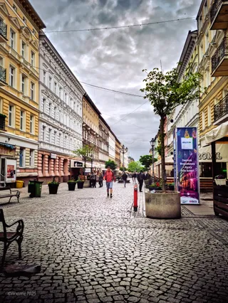 Towarzyska