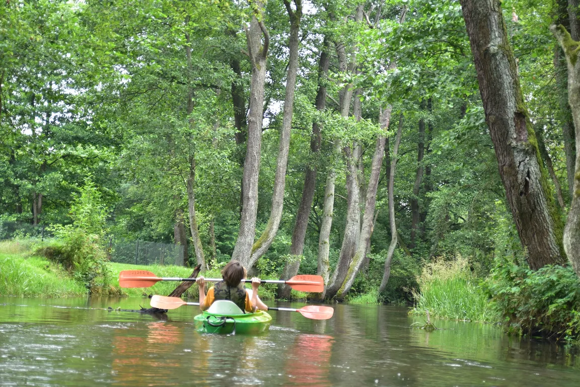 Roztoczański Park Narodowy