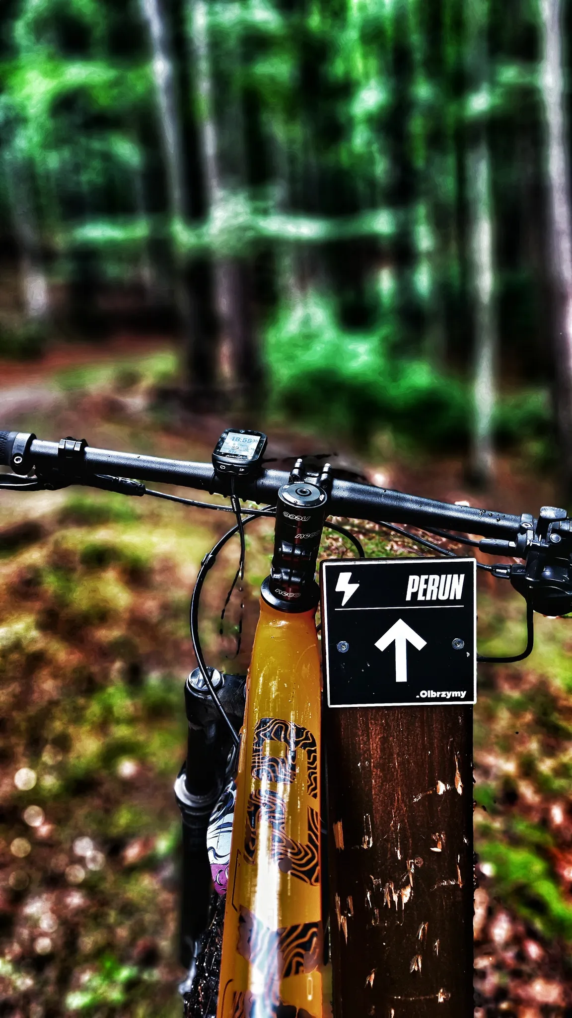Pasmo Rowerowe OLBRZYMY