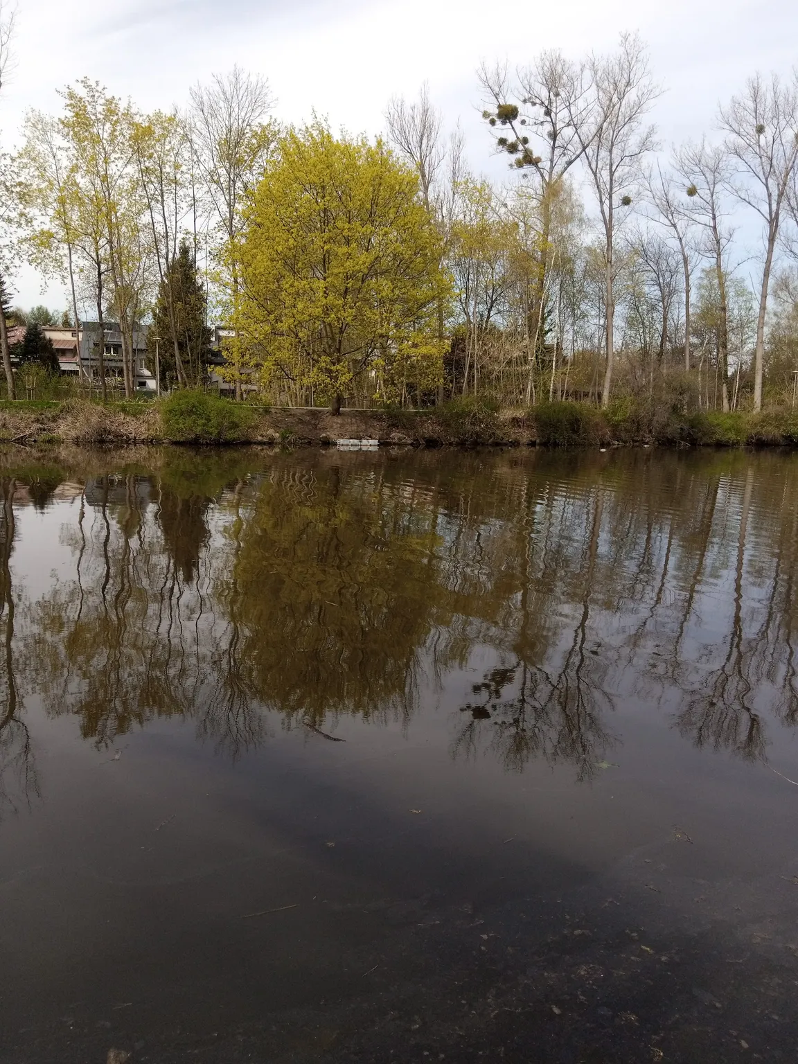 Szlak nad kanałem