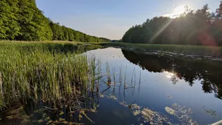 Pomost