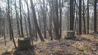 Kolumnada na wzgórzu Albrechta (22/II)