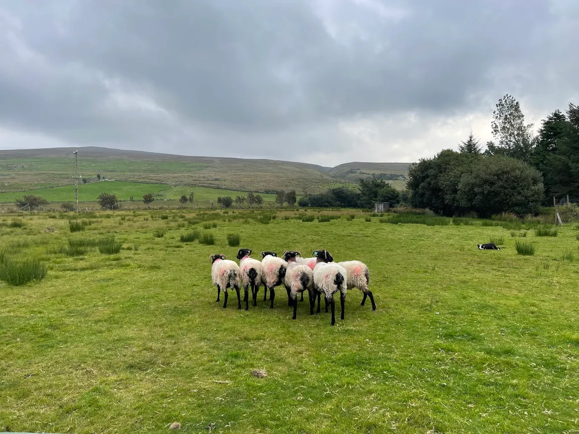 The Glen Keen Estate & Glen Keen Farm