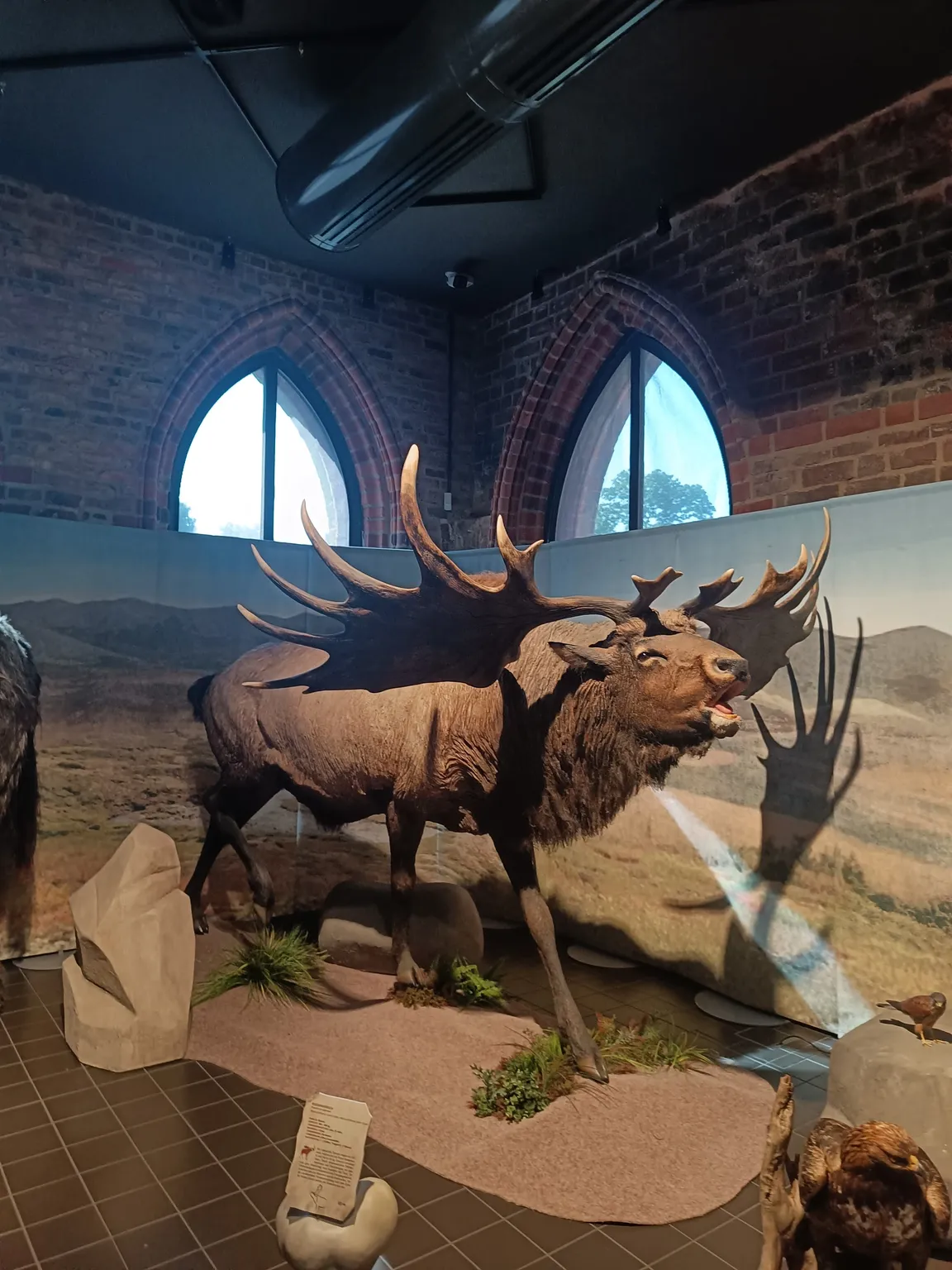Brandenburg State Archaeology Museum