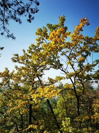 Leitenweg (Weinlehrpfad), Naturschutzgebiet
