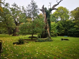 Muzeum Pałac w Rogalinie. Oddział Muzeum Narodowego w Poznaniu
