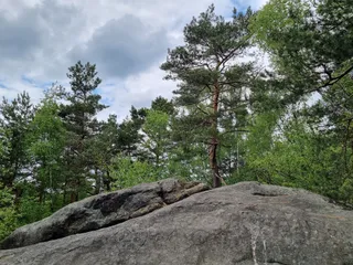 Kamienie Brodzińskiego | rezerwat przyrody