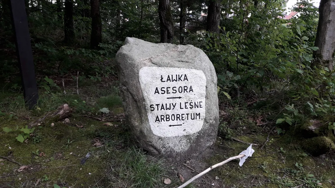 Ławka Asesora