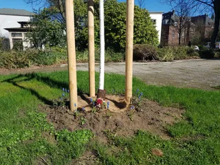 Walder Stadt Park