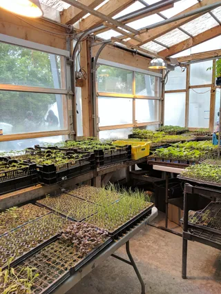 Growing Home Urban Farm