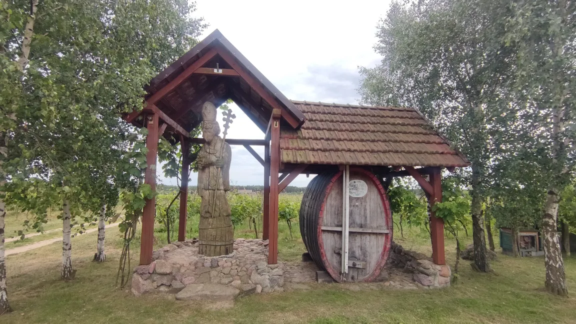 Winnica Cantina