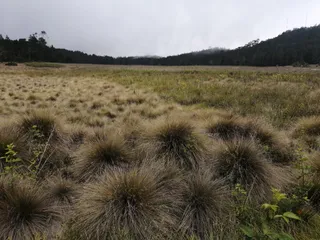 Valle Nuevo National Park