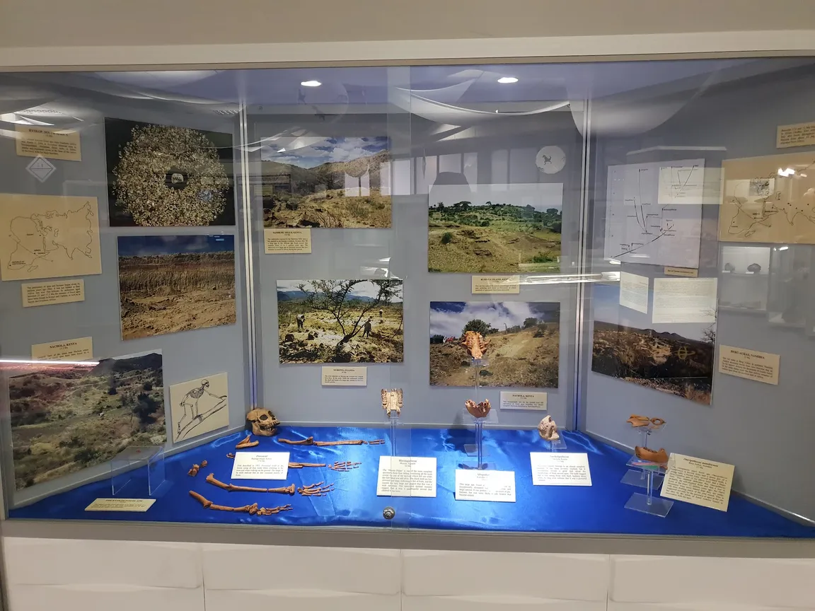 Geological Survey Museum
