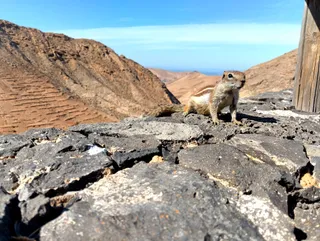Mirador Las Peñitas
