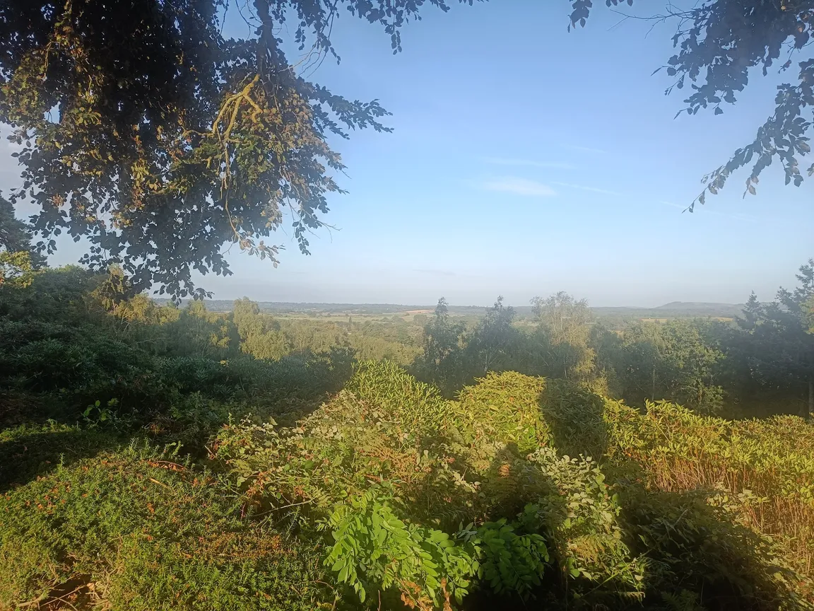Lodge Hill Centre