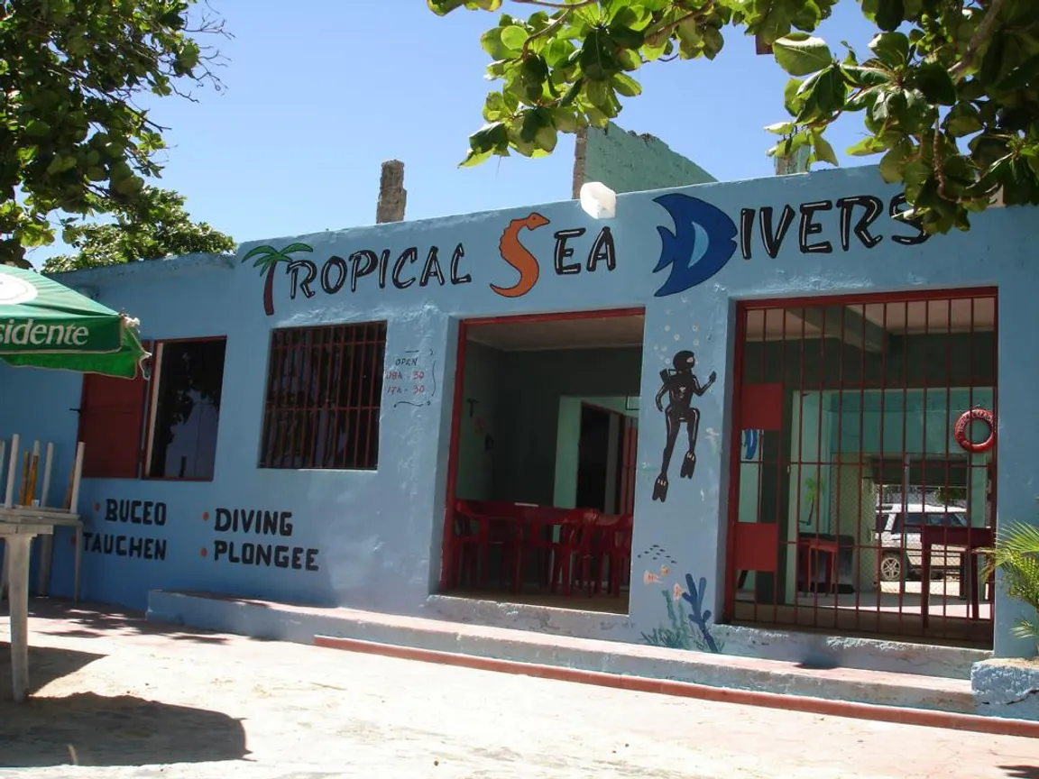 Tropical Sea divers