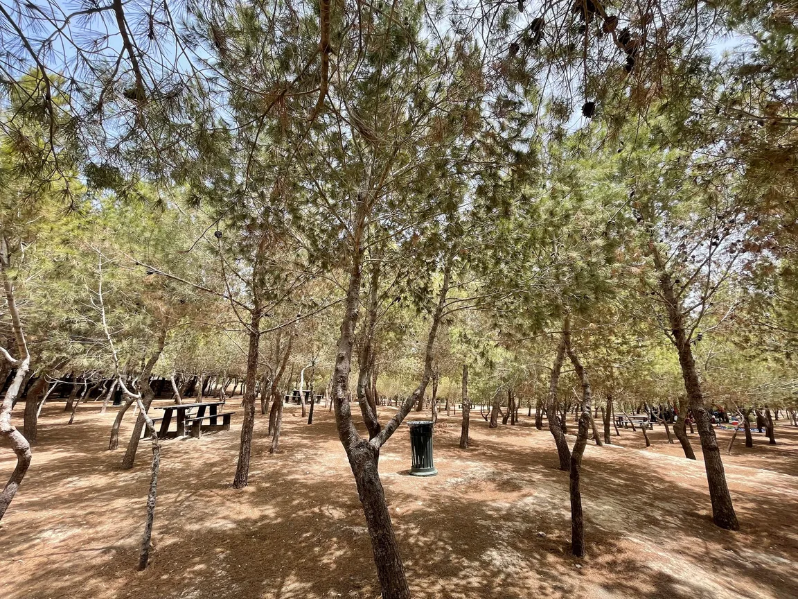 Salina Play Park