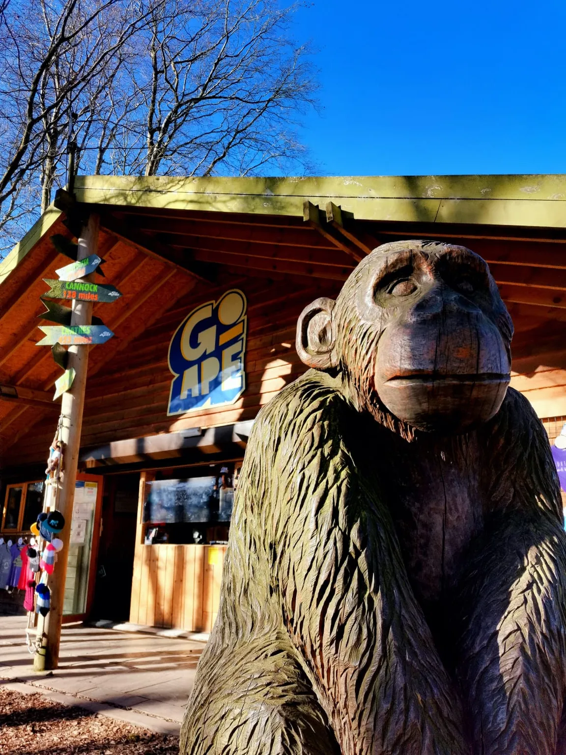 Go Ape Crawley