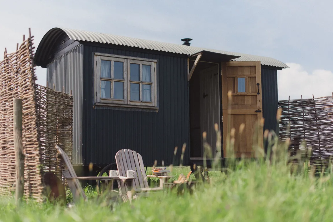 Elmley National Nature Reserve
