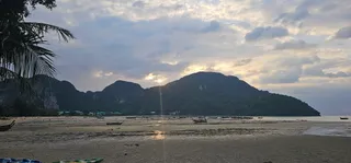 Sunflower Beach Bar