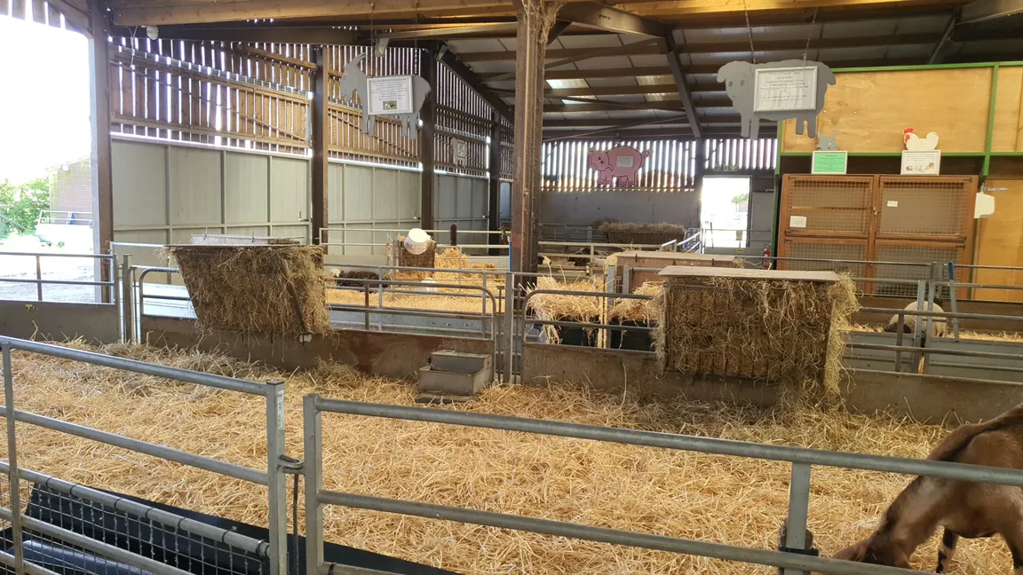 Odds Farm Park