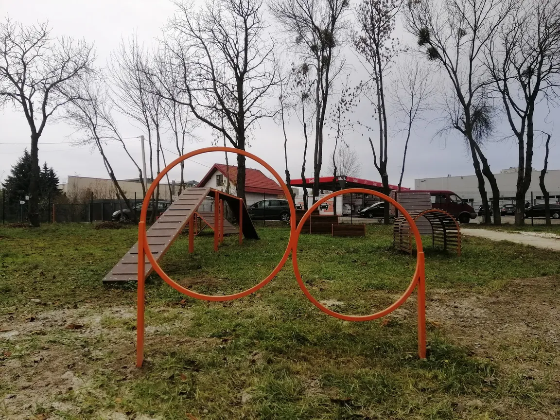 Maydanchyk Dlya Vyhulu Sobak