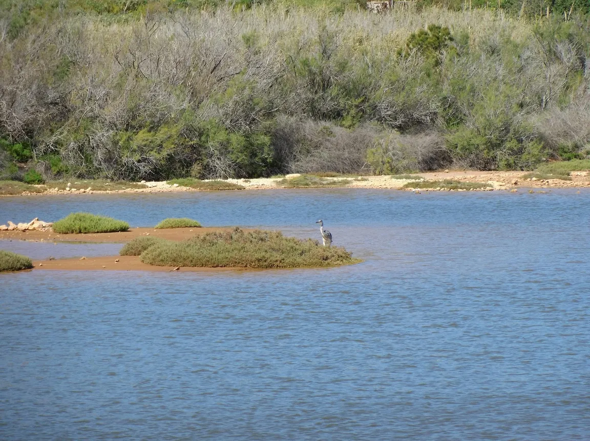 Għadira Nature Reserve