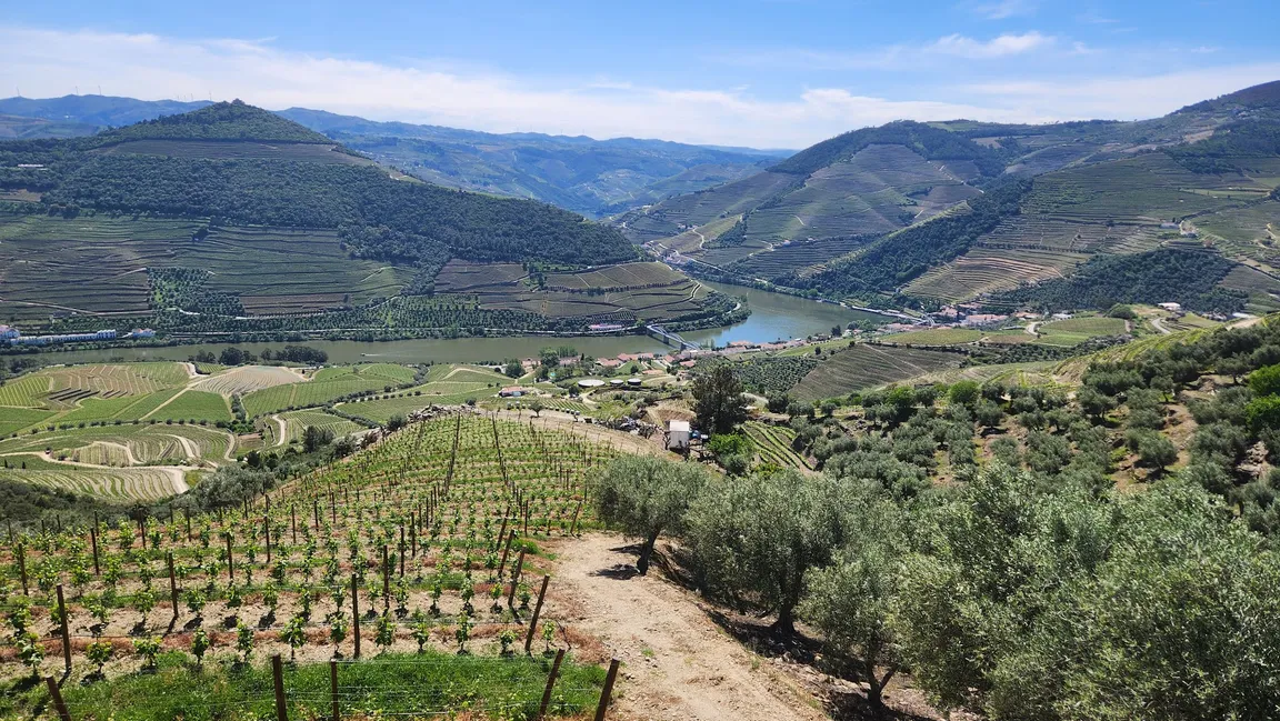 Quinta do Jalloto - Family vineyards